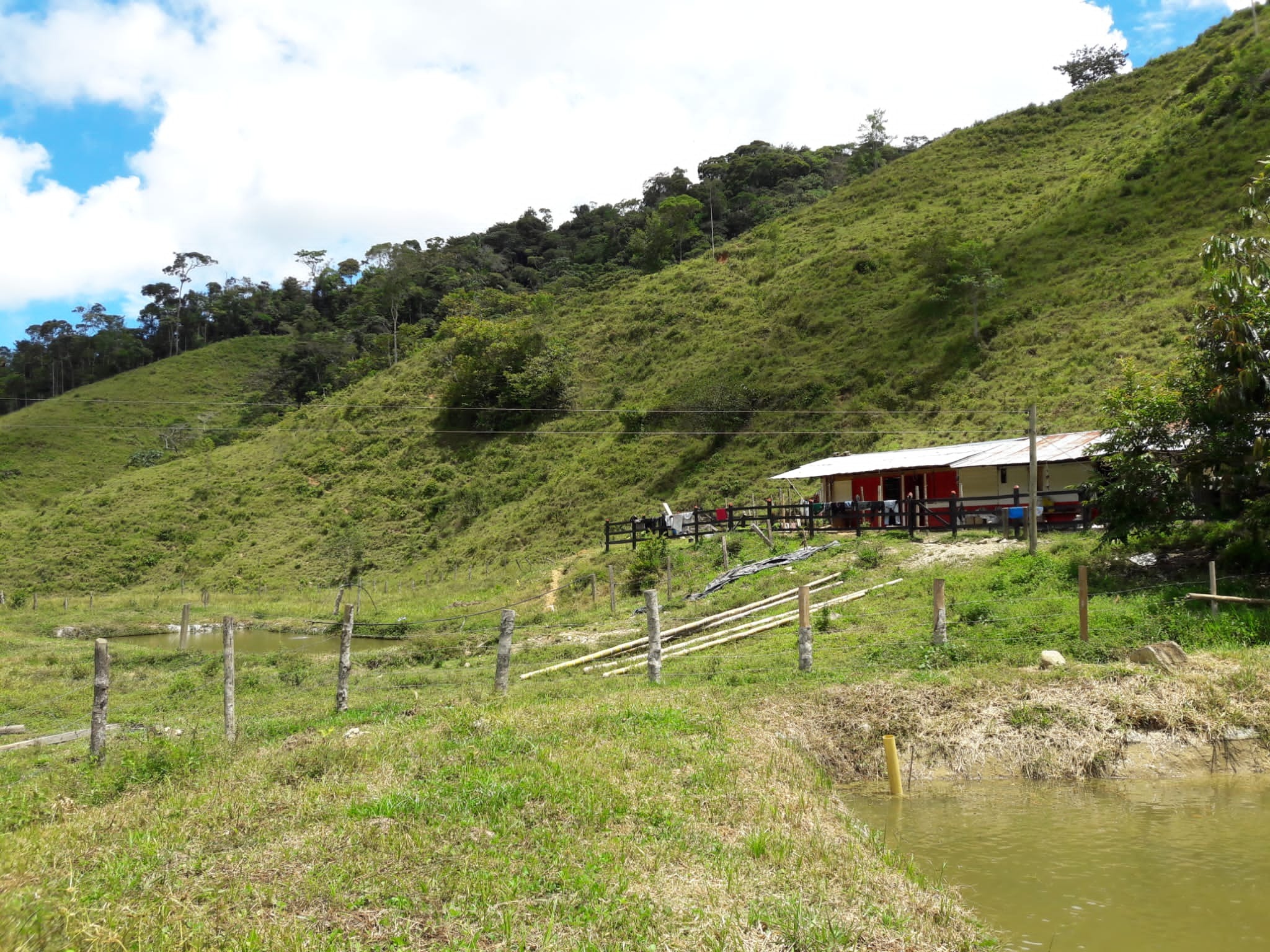 Paysage de San Carlos