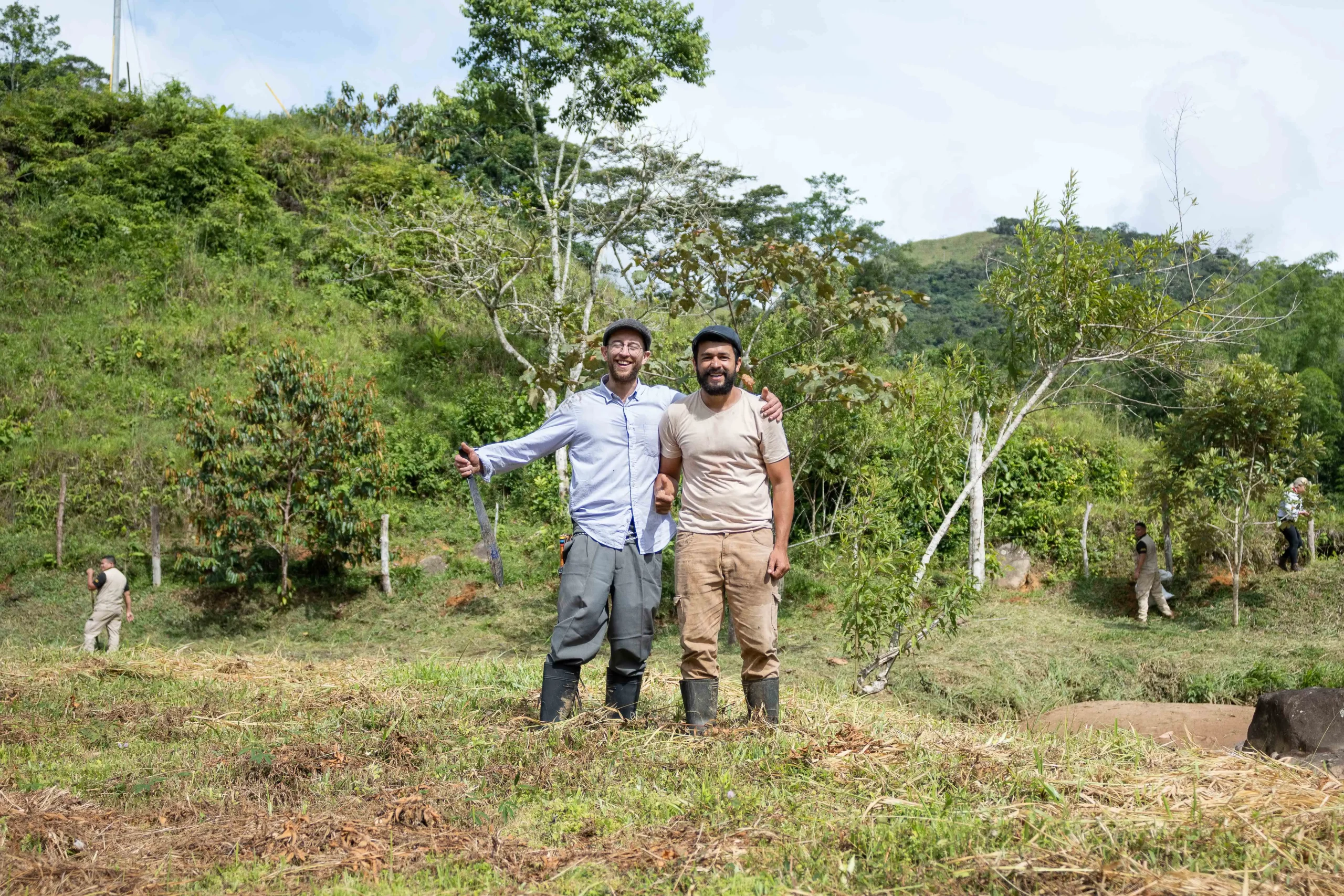 Montagnes de San Carlos
